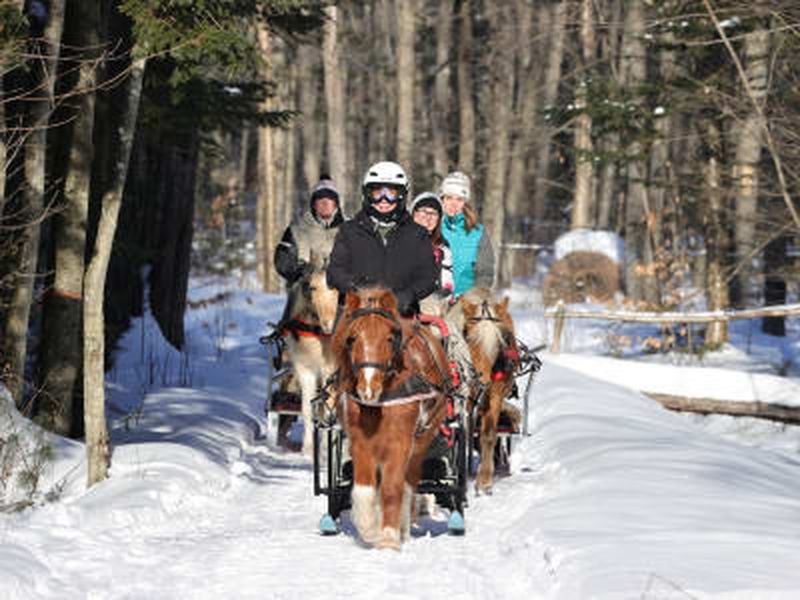 Balade en traîneau à cheval sur neige près de Trois-Rivières