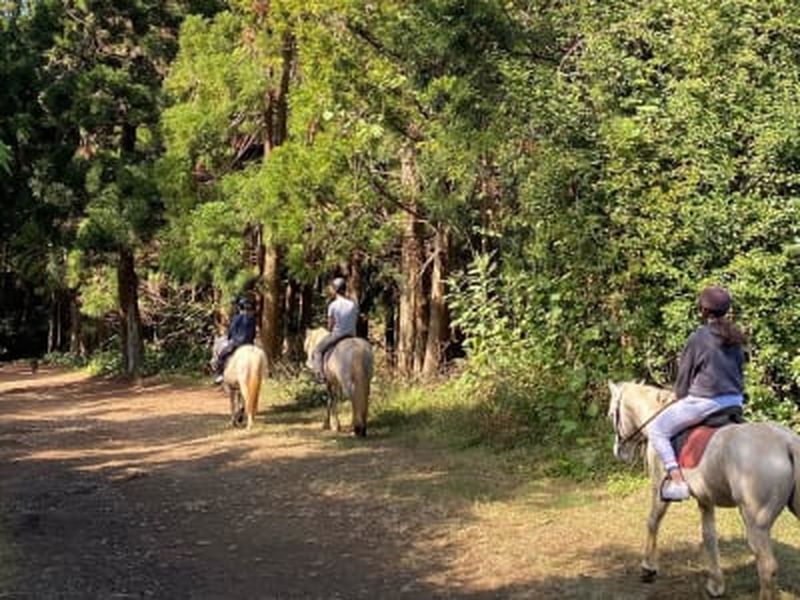 Baptême à cheval sur le Piton Maïdo, La Réunion