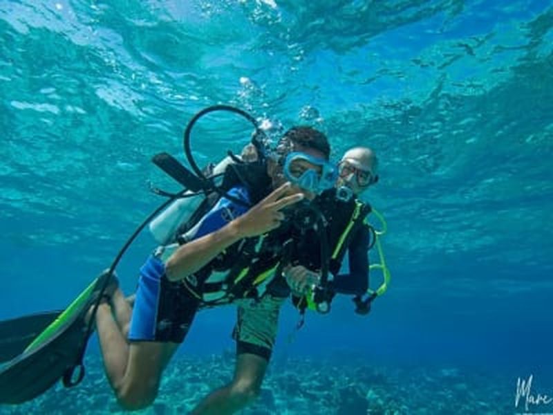 Baptême de plongée sur l'île de Mayotte