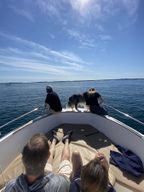 Une journée de co-navigation conviviale entre criques et plages secrètes !