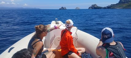 Explorez les joyaux cachés de l’île de Porquerolles pour une journée