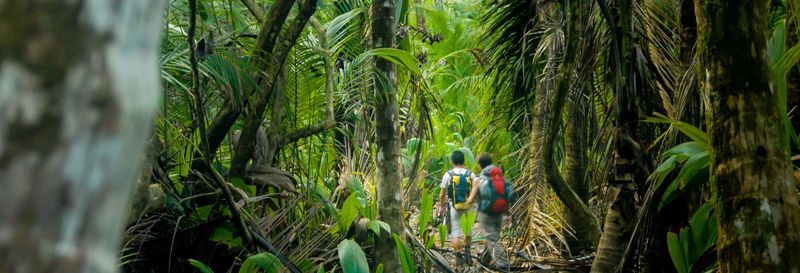 Free tour dans le parc national de Los Haitises