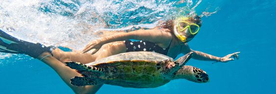 Nage avec des tortues dans la baie d'Akumal