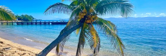 Excursion à Cayos Cochinos