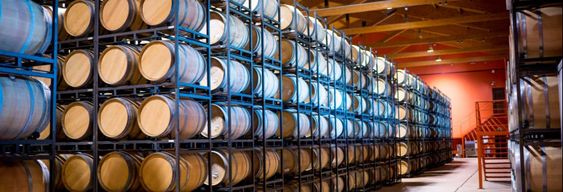 Visite du domaine Emina Rueda