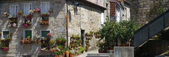 Visite guidée dans Ribadavia