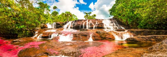 Excursion à Caño Cristales