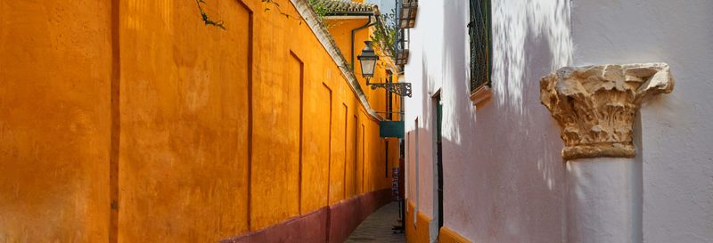 Free tour dans le quartier de Santa Cruz