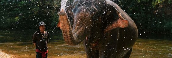 Safari au Parc National de Khao Sok