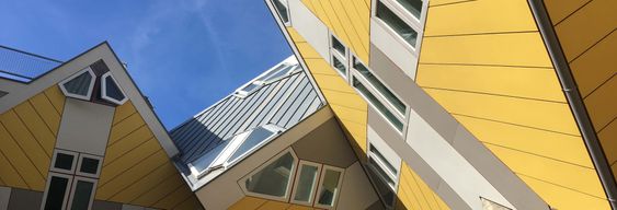 Visite sur l'art et l'architecture de Rotterdam