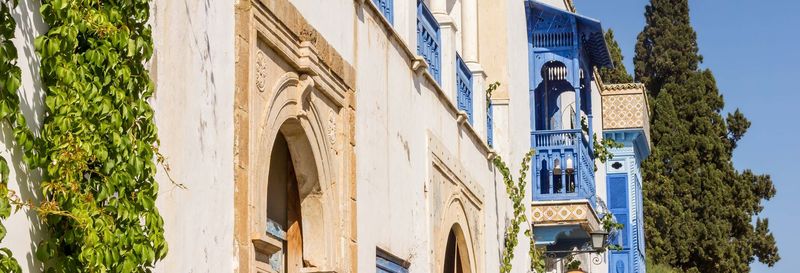 Free tour dans Sidi Bou Said