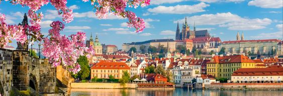 Visite guidée dans Prague avec un journaliste français