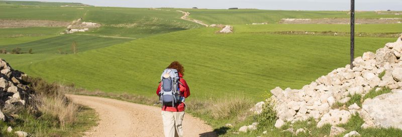 Visite du pèlerin : les derniers kilomètres du Chemin de Compostelle !