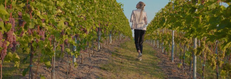 Visite des caves à vin de Buezo