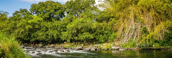 Rafting en canoë sur la rivière Marsouins