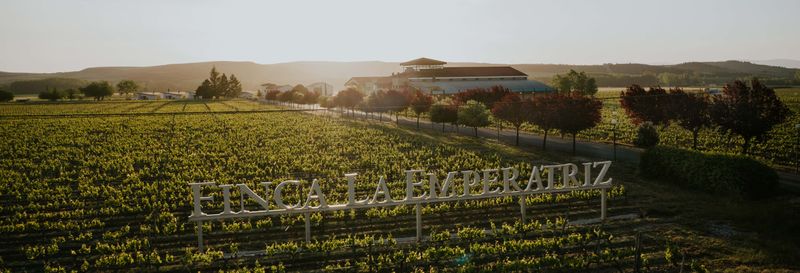 Visite du vignoble de la Finca La Emperatriz