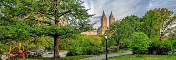 Free tour dans Central Park