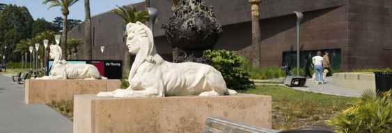 Billet pour le musée De Young