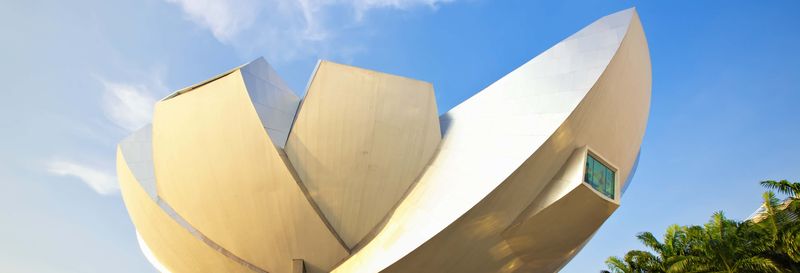 Billet pour le Musée des Arts et des Sciences de Singapour