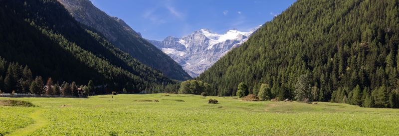 Balade en calèche dans le parc national du Grand Paradis
