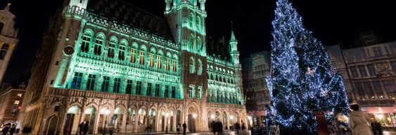 Free tour dans Bruxelles à Noël