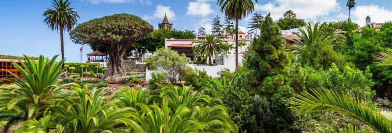 Billet pour le Parc du Dragonnier millénaire