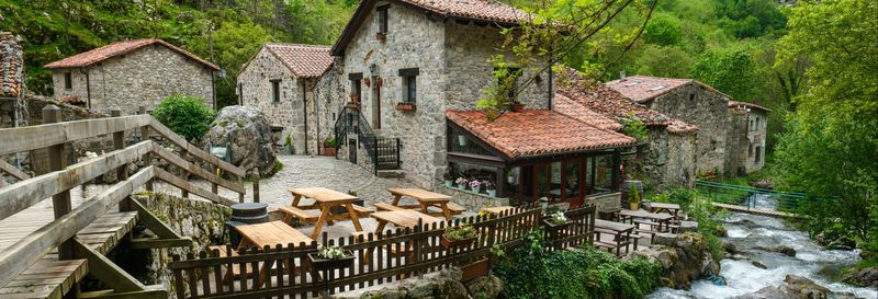 Excursion aux Pics d'Europe + Cave d'exposition du fromage de Cabrales avec dégustation