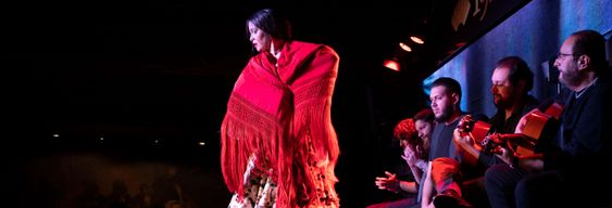 Spectacle au Tablao Flamenco 1911