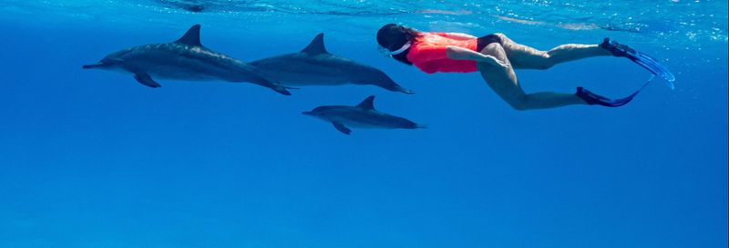 Balade en bateau à Sataya Reef + Snorkeling avec les dauphins