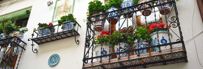 Free tour dans l'Albaicín et le Sacromonte