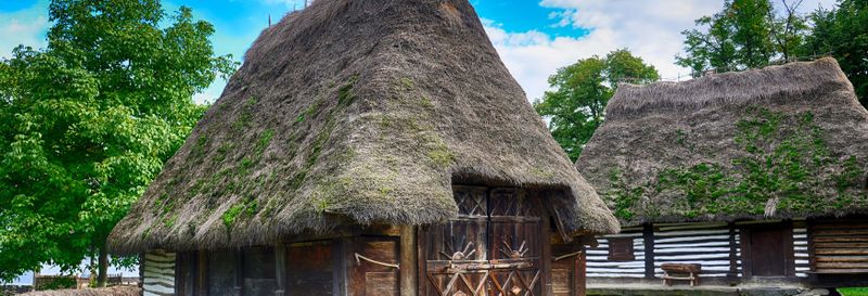 Visite guidée du musée du Village roumain et du parc Herastrau