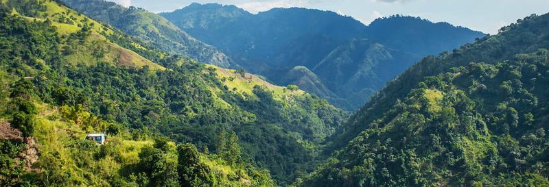 Excursion aux Blue Mountains