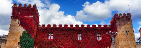 Visite guidée dans Olite et son château
