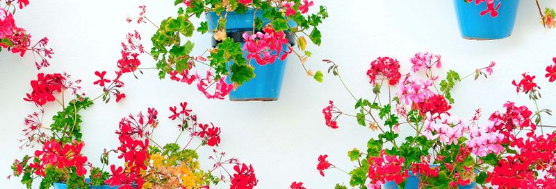 Free tour dans Mijas