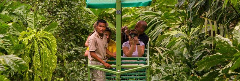 Excursion au parc national de Soberanía et au sanctuaire des paresseux