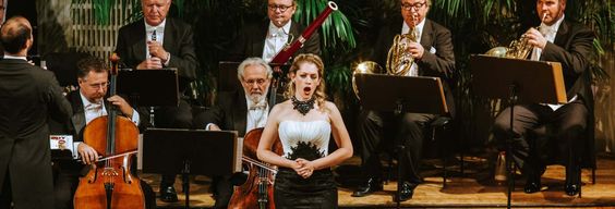 Concert de l'Orchestre Hofburg de Vienne au Konzerthaus