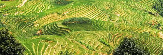 Excursion aux rizières en terrasses et aux villages de Longji