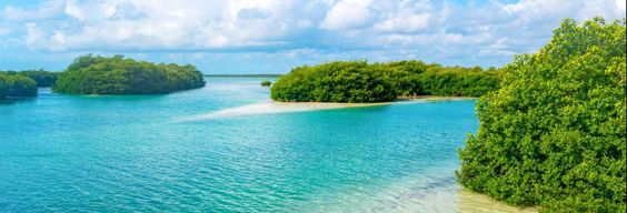 Excursion à Sian Ka'an + Balade à Muyil