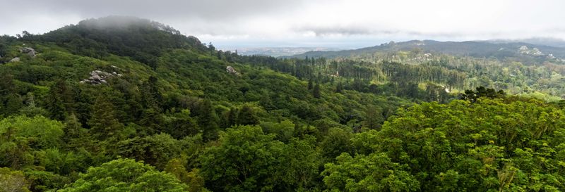 Randonnée au Parc Naturel Sintra-Cascais