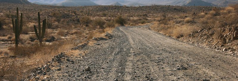 Balade en 4x4 dans le désert de Sonora