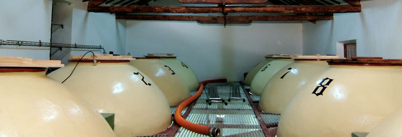 Visite de la cave à vin Campos de Dulcinea