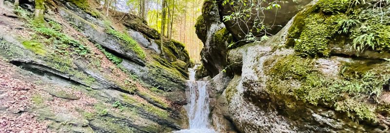 Excursion au canyon des 7 échelles