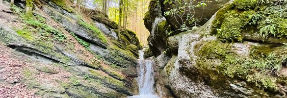 Excursion au canyon des 7 échelles