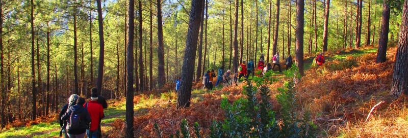 Visite de la mine de Buratos dos Mouros