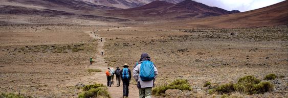 Trek de 9 jours au Kilimandjaro par la voie Machame