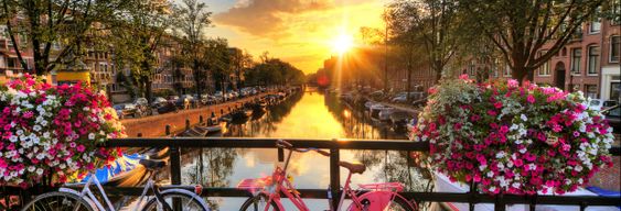 Visite d'Amsterdam à vélo + Balade en bateau sur les canaux