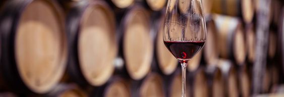 Visite du domaine viticole Franco-Españolas