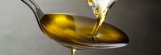 Dégustation d'huile d'olive à Cazorla