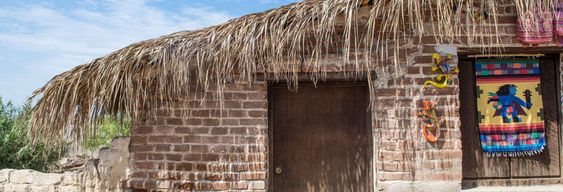 Excursion à Todos Santos