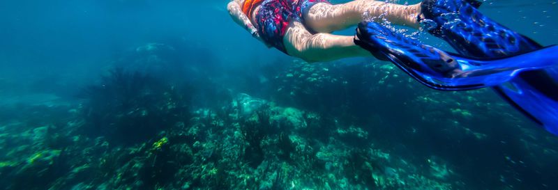 Snorkeling à Xcalak